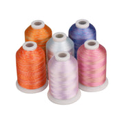 Simthread 6 Variegated Colors Embroidery Thread Kit - 1000M - Simthread - High Quality Machine Embroidery Thread Supplier
