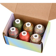 Simthread 6 Variegated Colors Embroidery Thread Kit - 1000M - Simthread - High Quality Machine Embroidery Thread Supplier
