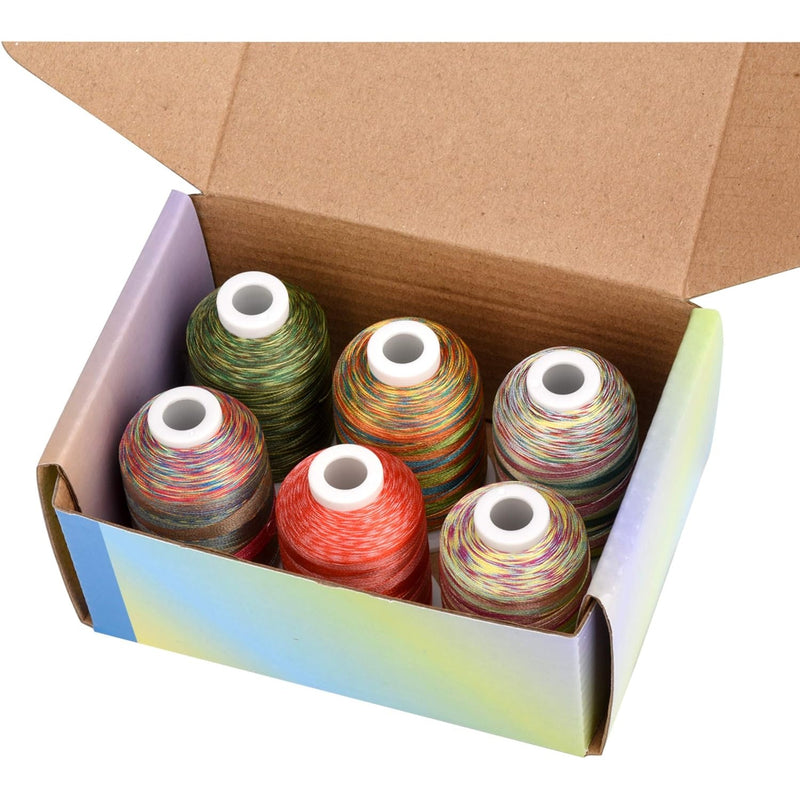 Simthread 6 Variegated Colors Embroidery Thread Kit - 1000M - Simthread - High Quality Machine Embroidery Thread Supplier