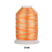 Simthread Vibrant Variegated Polyester Embroidery Thread Single Spool - 1000M - 38 Unique Colors - Simthread - High Quality Machine Embroidery Thread Supplier