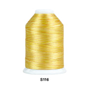 Simthread Vibrant Variegated Polyester Embroidery Thread Single Spool - 1000M - 38 Unique Colors - Simthread - High Quality Machine Embroidery Thread Supplier