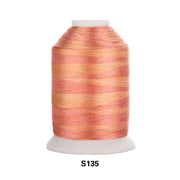 Simthread Vibrant Variegated Polyester Embroidery Thread Single Spool - 1000M - 38 Unique Colors - Simthread - High Quality Machine Embroidery Thread Supplier