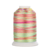 Simthread Vibrant Variegated Polyester Embroidery Thread Single Spool - 1000M - 38 Unique Colors - Simthread - High Quality Machine Embroidery Thread Supplier