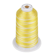 Simthread Vibrant Variegated Polyester Embroidery Thread Single Spool - 5000M - 38 Unique Colors - Simthread - High Quality Machine Embroidery Thread Supplier