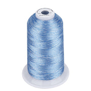 Simthread Vibrant Variegated Polyester Embroidery Thread Single Spool - 5000M - 38 Unique Colors - Simthread - High Quality Machine Embroidery Thread Supplier