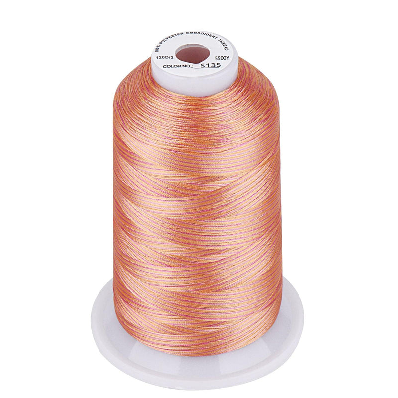 Simthread Vibrant Variegated Polyester Embroidery Thread Single Spool - 5000M - 38 Unique Colors - Simthread - High Quality Machine Embroidery Thread Supplier