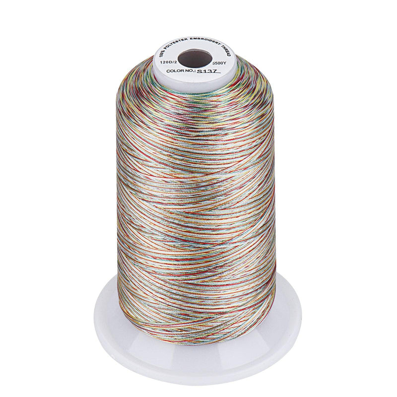 Simthread Vibrant Variegated Polyester Embroidery Thread Single Spool - 5000M - 38 Unique Colors - Simthread - High Quality Machine Embroidery Thread Supplier