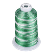 Simthread Vibrant Variegated Polyester Embroidery Thread Single Spool - 5000M - 38 Unique Colors - Simthread - High Quality Machine Embroidery Thread Supplier