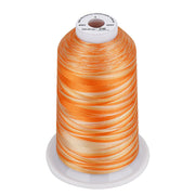 Simthread Vibrant Variegated Polyester Embroidery Thread Single Spool - 5000M - 38 Unique Colors - Simthread - High Quality Machine Embroidery Thread Supplier