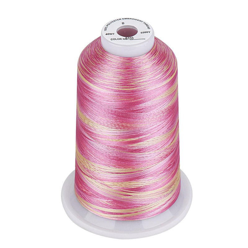 Simthread Vibrant Variegated Polyester Embroidery Thread Single Spool - 5000M - 38 Unique Colors - Simthread - High Quality Machine Embroidery Thread Supplier