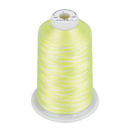 Simthread Vibrant Variegated Polyester Embroidery Thread Single Spool - 5000M - 38 Unique Colors - Simthread - High Quality Machine Embroidery Thread Supplier