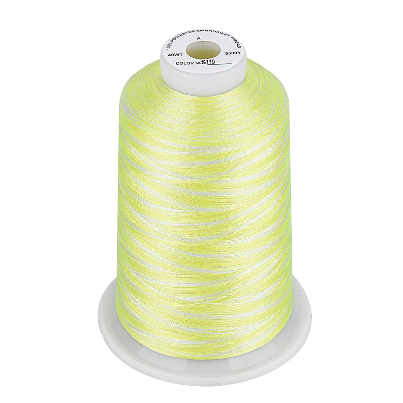 Simthread Vibrant Variegated Polyester Embroidery Thread Single Spool - 5000M - 38 Unique Colors - Simthread - High Quality Machine Embroidery Thread Supplier
