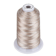 Simthread Vibrant Variegated Polyester Embroidery Thread Single Spool - 5000M - 38 Unique Colors - Simthread - High Quality Machine Embroidery Thread Supplier