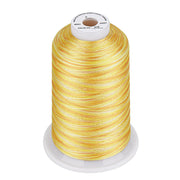 Simthread Vibrant Variegated Polyester Embroidery Thread Single Spool - 5000M - 38 Unique Colors - Simthread - High Quality Machine Embroidery Thread Supplier