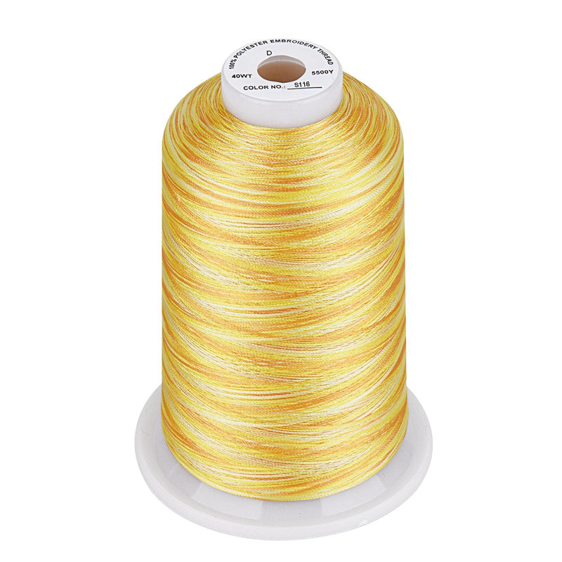 Simthread Vibrant Variegated Polyester Embroidery Thread Single Spool - 5000M - 38 Unique Colors - Simthread - High Quality Machine Embroidery Thread Supplier