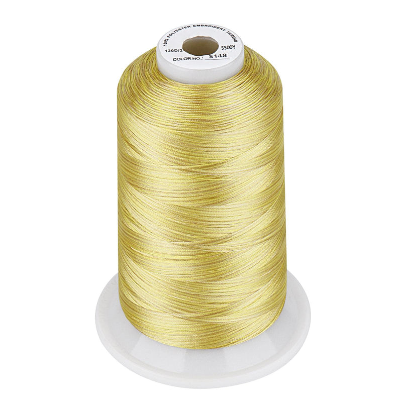 Simthread Vibrant Variegated Polyester Embroidery Thread Single Spool - 5000M - 38 Unique Colors - Simthread - High Quality Machine Embroidery Thread Supplier