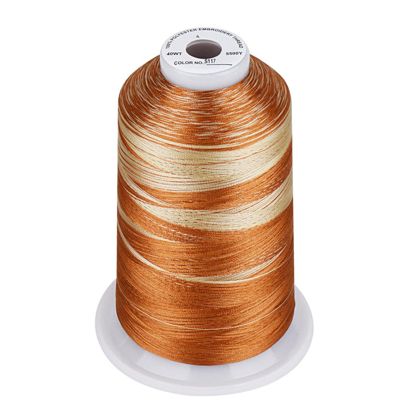 Simthread Vibrant Variegated Polyester Embroidery Thread Single Spool - 5000M - 38 Unique Colors - Simthread - High Quality Machine Embroidery Thread Supplier