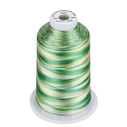 Simthread Vibrant Variegated Polyester Embroidery Thread Single Spool - 5000M - 38 Unique Colors - Simthread - High Quality Machine Embroidery Thread Supplier