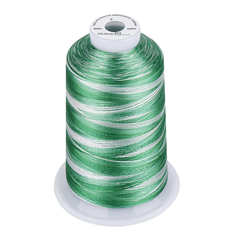 Simthread Vibrant Variegated Polyester Embroidery Thread Single Spool - 5000M - 38 Unique Colors - Simthread - High Quality Machine Embroidery Thread Supplier