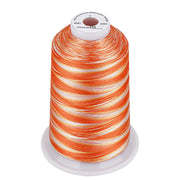 Simthread Vibrant Variegated Polyester Embroidery Thread Single Spool - 5000M - 38 Unique Colors - Simthread - High Quality Machine Embroidery Thread Supplier